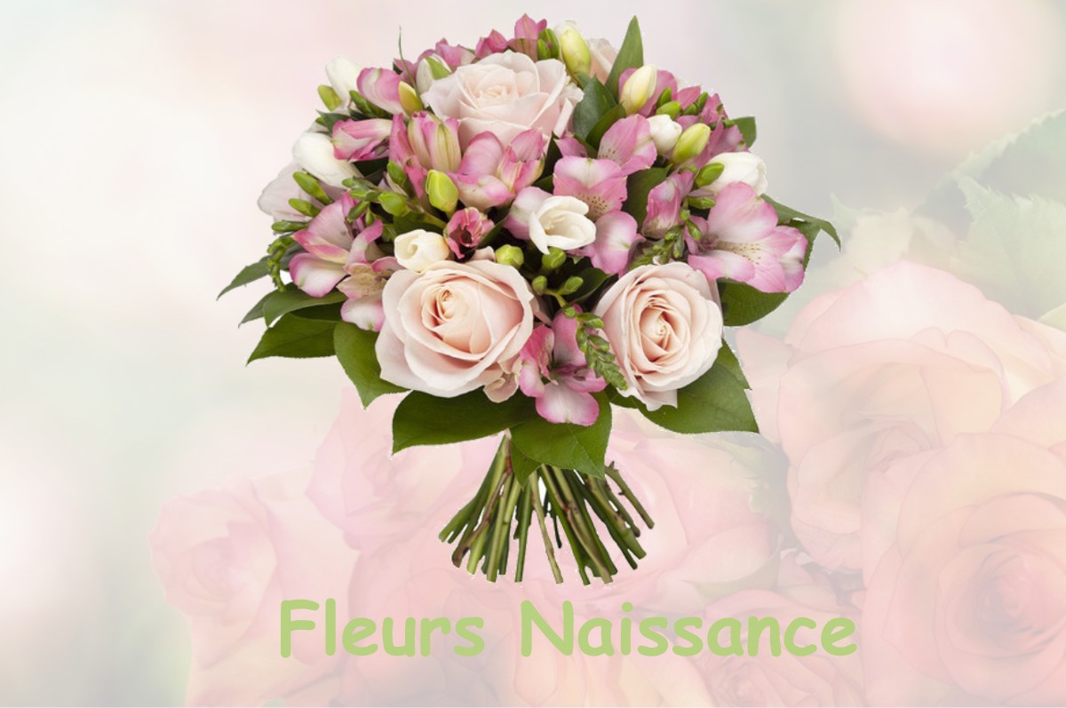 fleurs naissance NOTRE-DAME-DE-L-OSIER