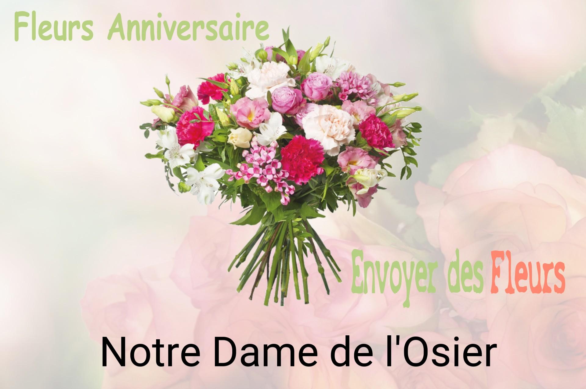 Bouquet de fleurs d’anniversaire livré à Notre-Dame-de-l'Osier
