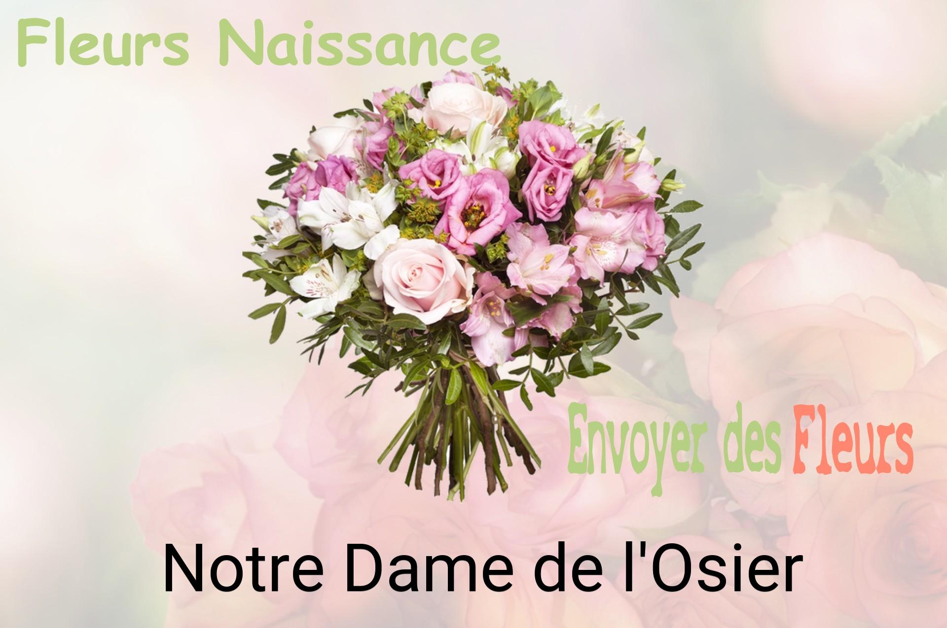 Bouquet de fleurs de naissance livré à Notre-Dame-de-l'Osier