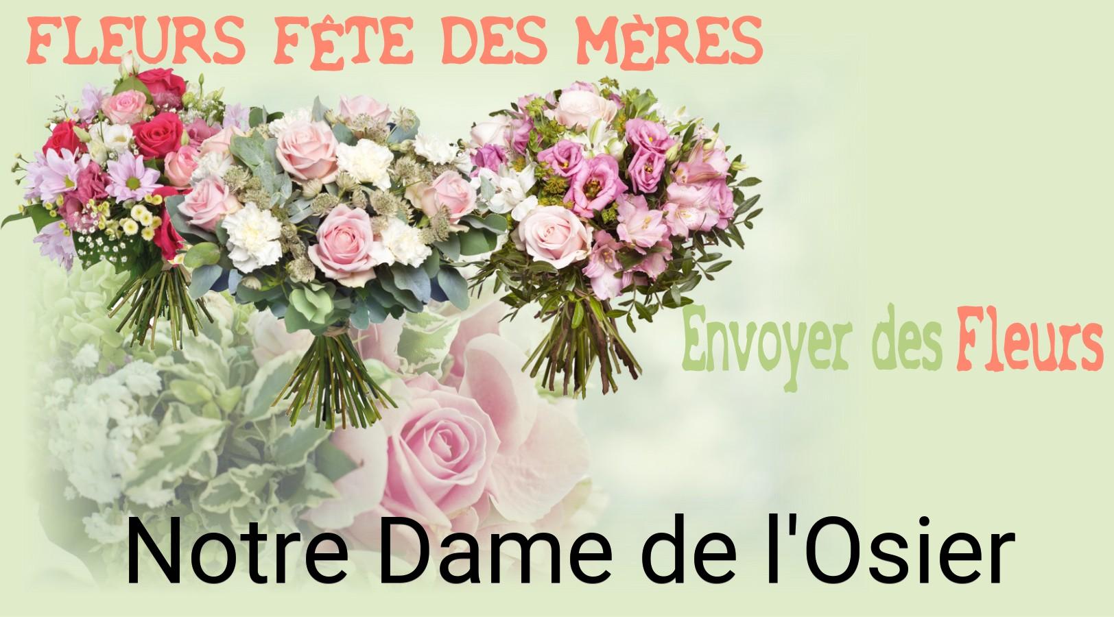 Bouquet de Fête des Mères livré à Notre-Dame-de-l'Osier